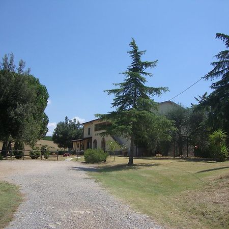 Agriturismo Podere Selvette 캄파냐티코 외부 사진
