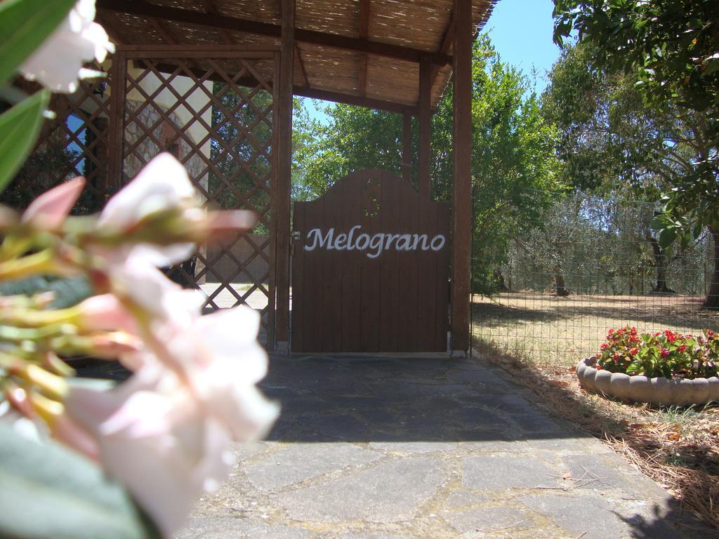 Agriturismo Podere Selvette 캄파냐티코 외부 사진