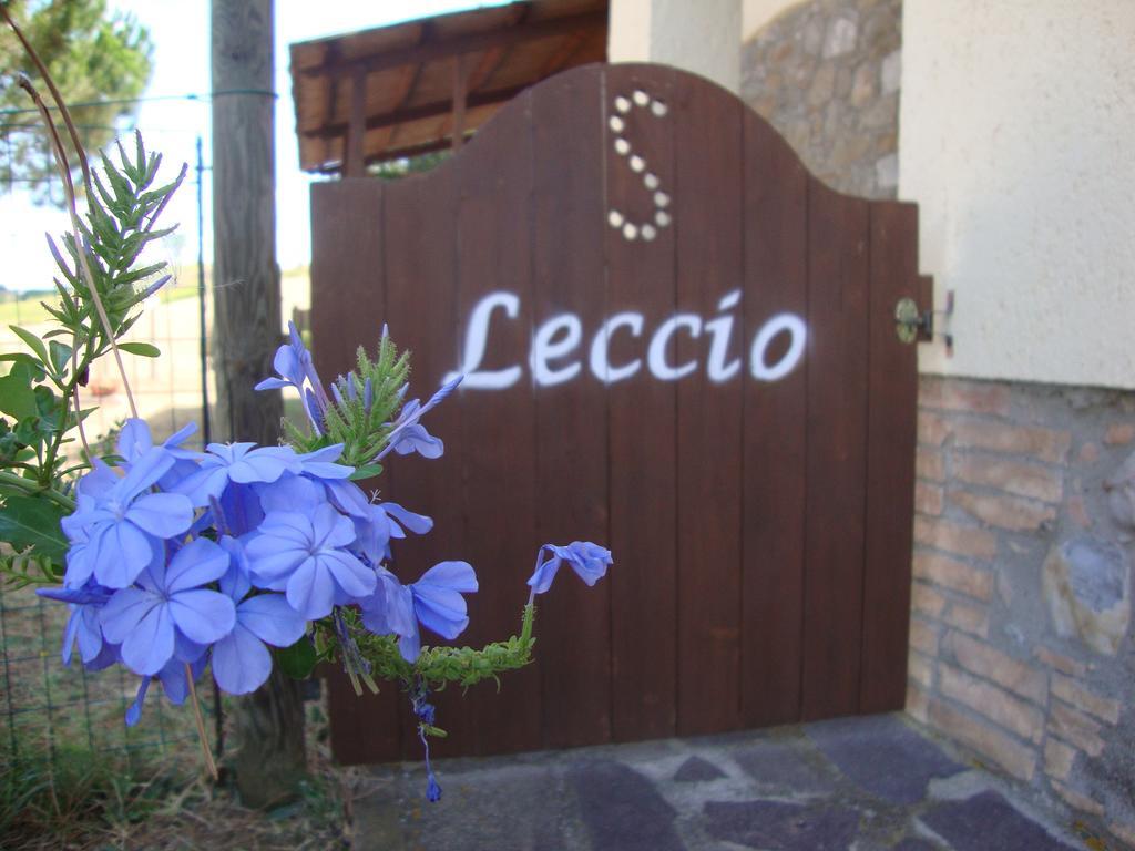 Agriturismo Podere Selvette 캄파냐티코 외부 사진