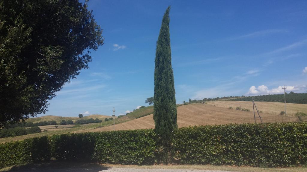 Agriturismo Podere Selvette 캄파냐티코 외부 사진