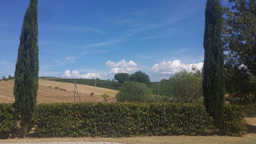 Agriturismo Podere Selvette 캄파냐티코 외부 사진
