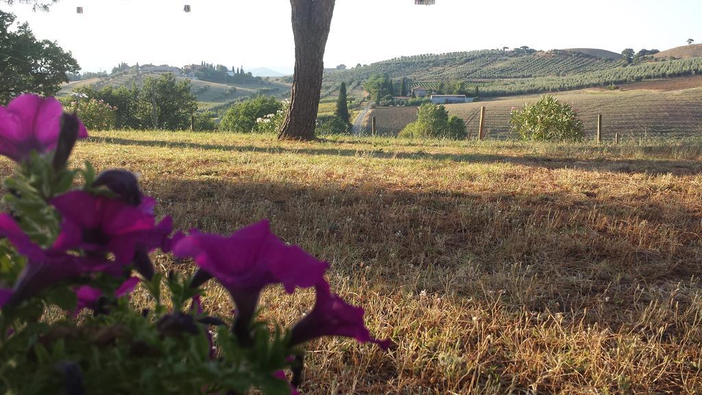 Agriturismo Podere Selvette 캄파냐티코 외부 사진