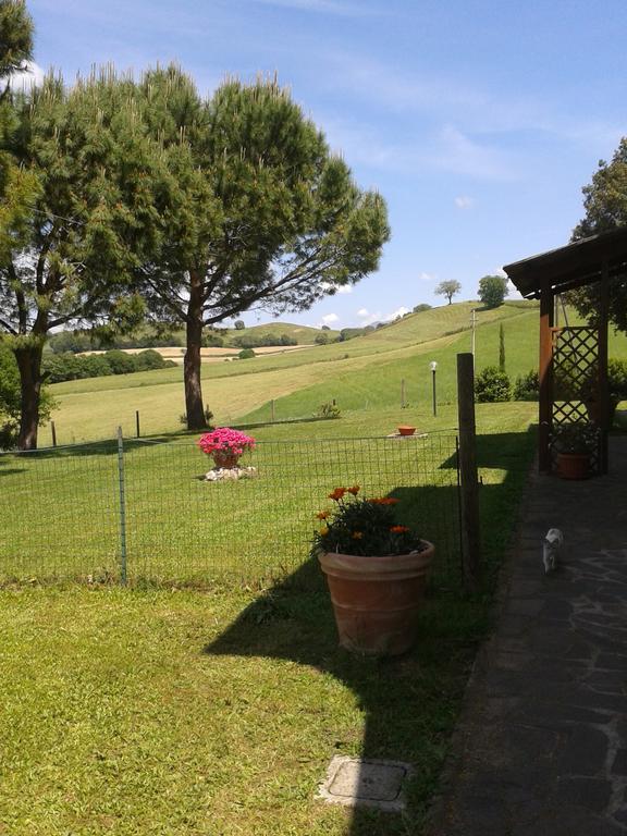 Agriturismo Podere Selvette 캄파냐티코 외부 사진