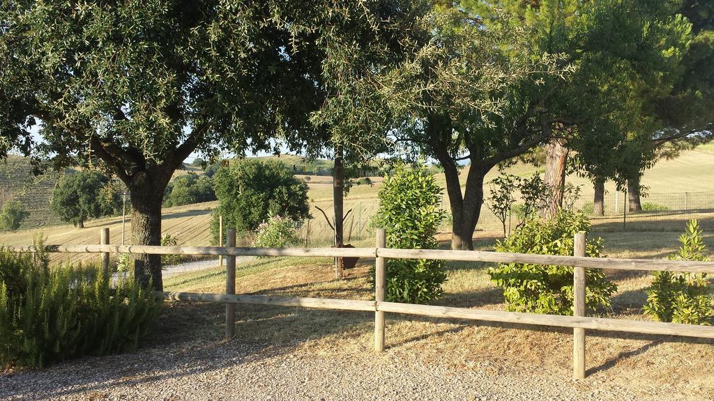 Agriturismo Podere Selvette 캄파냐티코 외부 사진