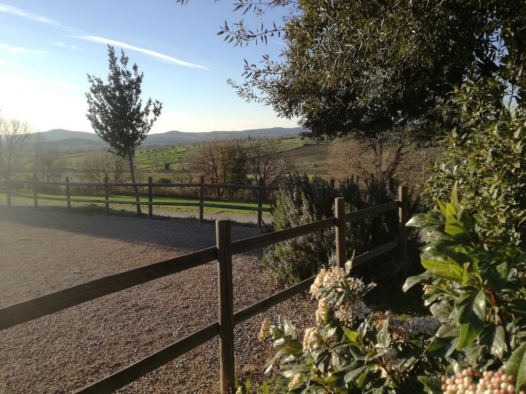 Agriturismo Podere Selvette 캄파냐티코 외부 사진