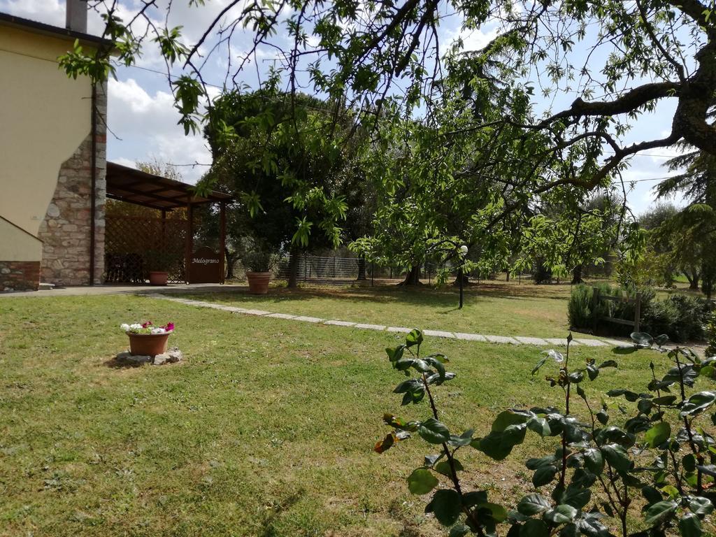 Agriturismo Podere Selvette 캄파냐티코 외부 사진